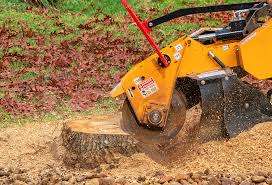 How Our Tree Care Process Works  in  White Oak, MS